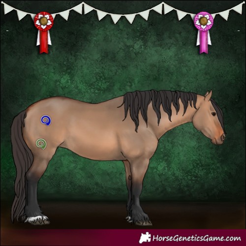 Horse Color:Bay Dun