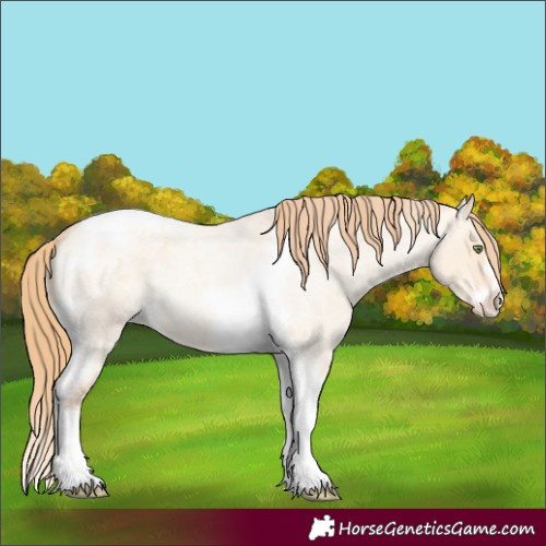 Horse Color:Gold Champagne Roan Dun Splash Tobiano Frame Appaloosa Rabicano 