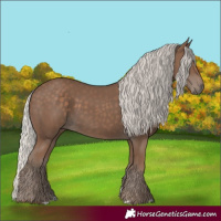Horse Color:Silver Black 