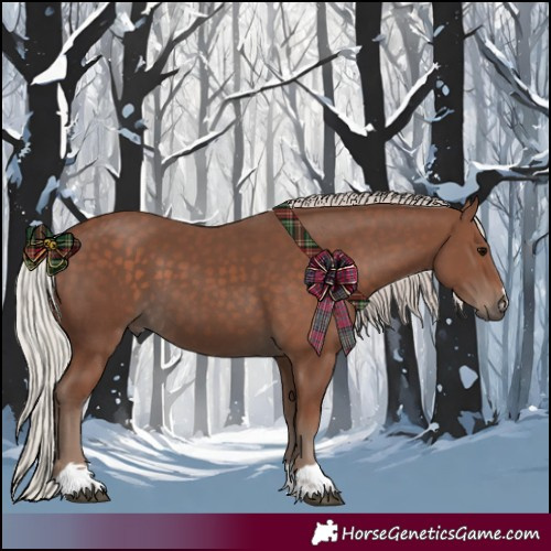 Horse Color:Silver Black 