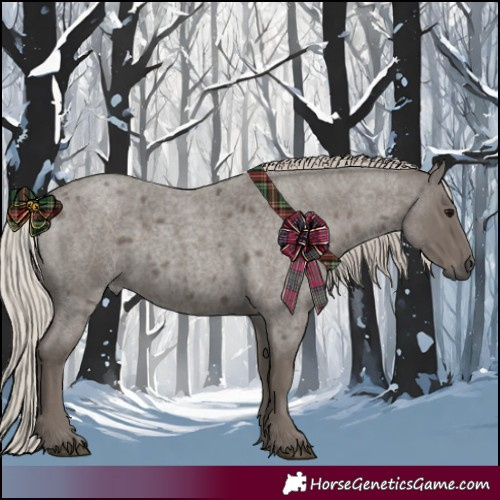 Horse Color:Silver Blue Roan