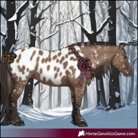 Horse Color:Liver Red Dun Near Leopard 