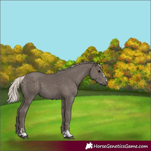Horse Color:Silver Black 