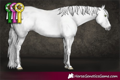 Horse Color:Gray Brown Dun Sabino 