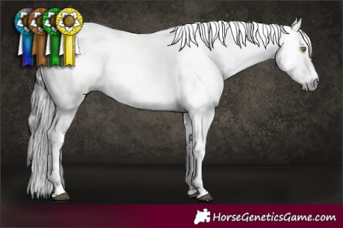 Horse Color:Gray Brown Dun Sabino 