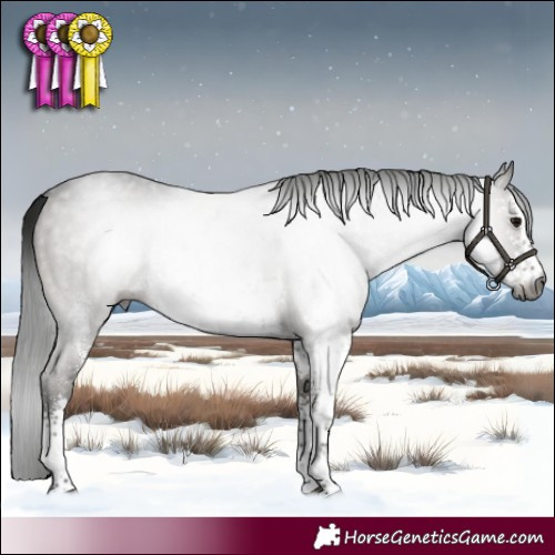 Horse Color:Gray White Spotted Grullo Sabino Brindle 