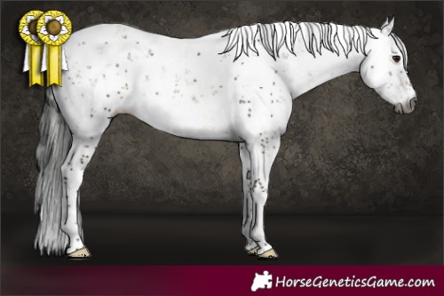 Horse Color:Gray Brown Dun Sabino Brindle 