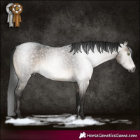 Horse Color:Gray Brown Roan Dun Sabino