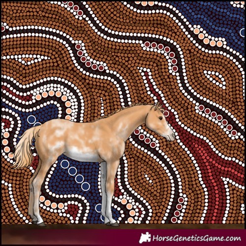 Horse Color:White Spotted Chestnut Frame 