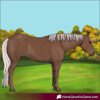 Horse Color:Silver Black