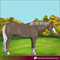 Horse Color:Silver Black 