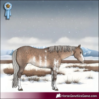 Horse Color:Silver Brown Dun Sabino 