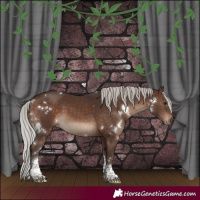 Horse Color:White Spotted Silver Brown Tobiano Rabicano 
