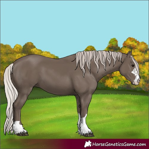 Horse Color:Silver Black 