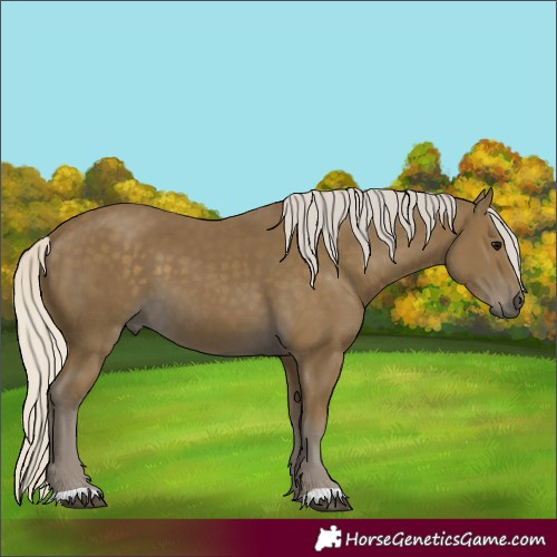Horse Color:Silver Smoky Black 