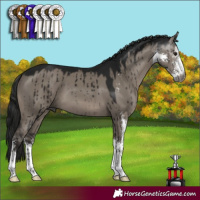 Horse Color:Gray Grullo Sabino Brindle