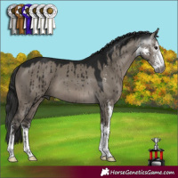 Horse Color:Gray Grullo Sabino Brindle