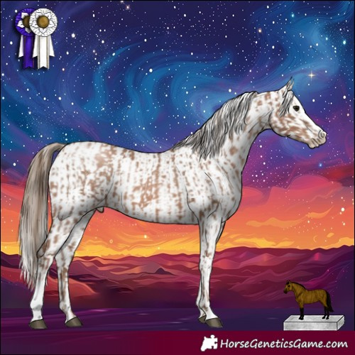Horse Color:Black Pearl Sabino  and Black Pearl Sabino 