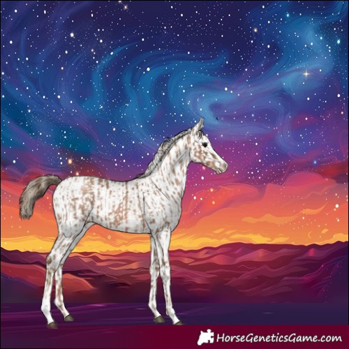 Horse Color:Black Pearl Sabino  and Black Pearl Sabino 