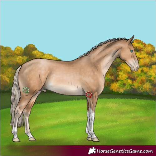 Horse Color:Chocolate Palomino Pearl Tobiano Rabicano 
