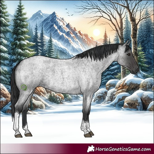 Horse Color:Blue Roan Tobiano Rabicano