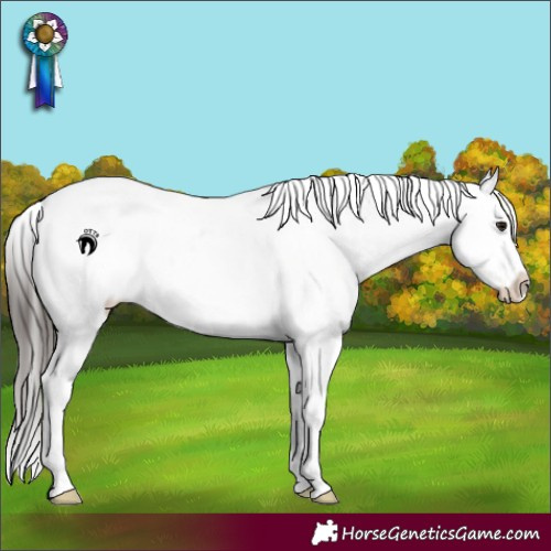 Horse Color:Brown Sabino Snowflake Varnish