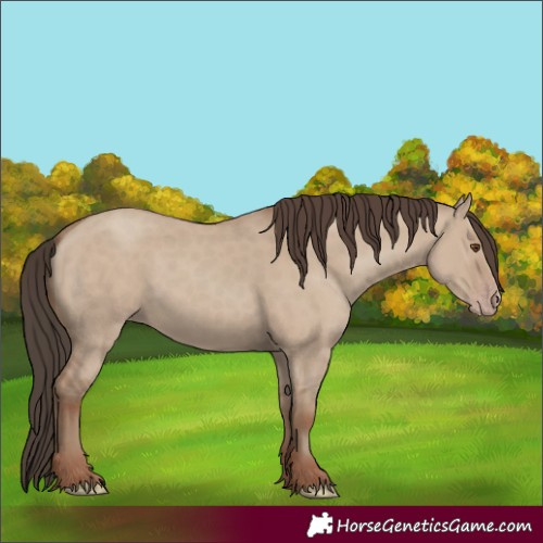 Horse Color:Classic Champagne Dun 