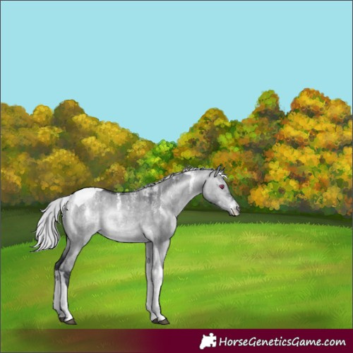 Horse Color:Platinum Silver Brown Chinchilla Dun Tobiano Brindle 