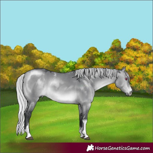 Horse Color:Powder White Platinum Silver Brown Chinchilla Dun Tobiano 