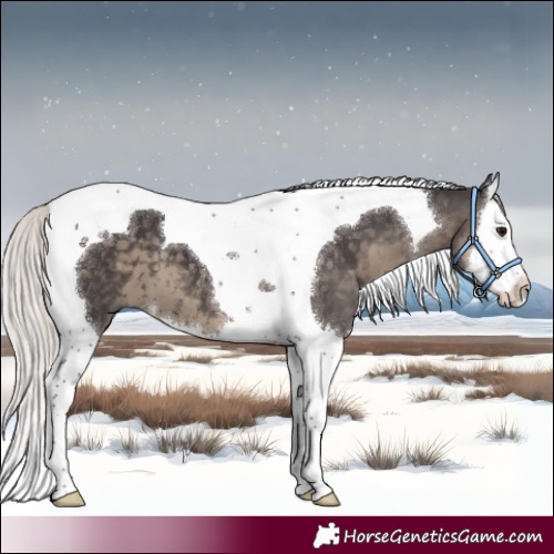 Horse Color:Silver Smoky Black Splash Tobiano 