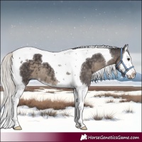 Horse Color:Silver Smoky Black Splash Tobiano 