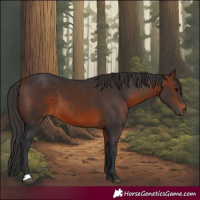 Horse Color:Brown 