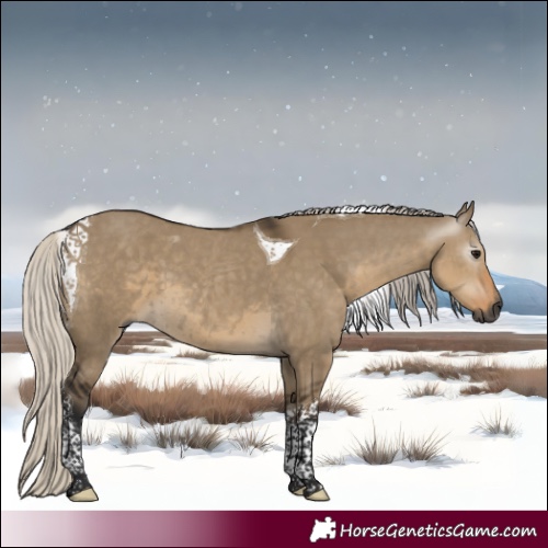 Horse Color:Gray Silver Smoky Grullo Tobiano 
