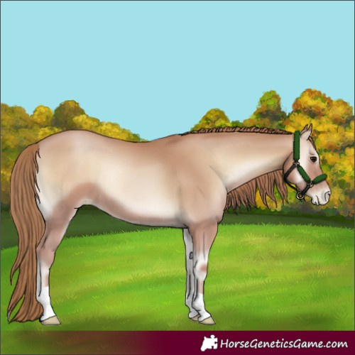 Horse Color:Blue Onyx Pearl 