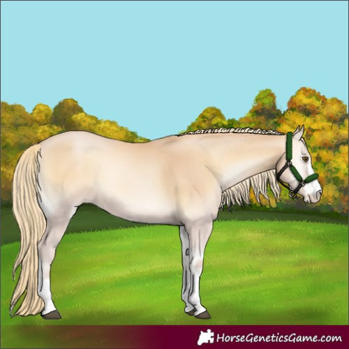 Horse Color:Red Onyx Pearl Mushroom 