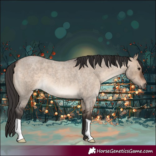 Horse Color:Brown Roan Dun 