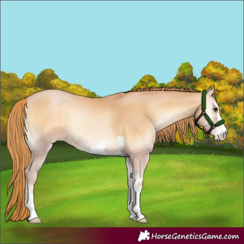 Horse Color:Red Onyx Pearl