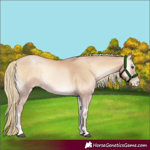 Horse Color:Red Onyx Pearl Mushroom 