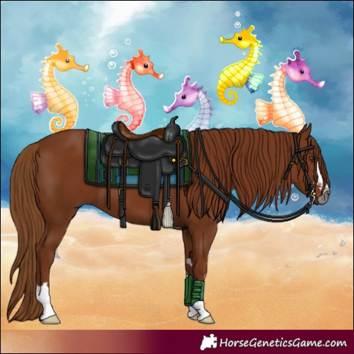 Horse Color:Gray Chestnut