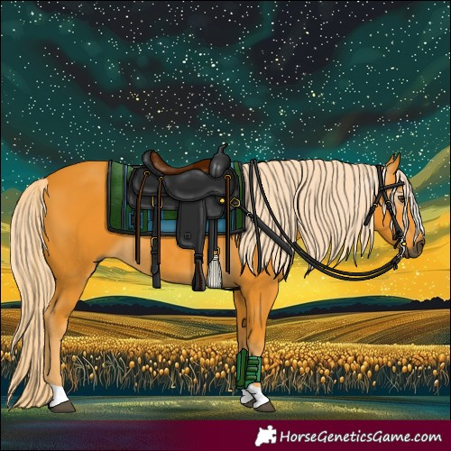 Horse Color:Gray Palomino 