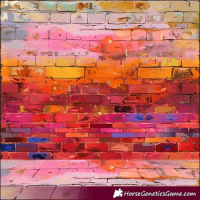 Horse Color:Gray Buckskin 