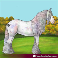 Horse Color:Nacre White Spotted Chocolate Silver Black Chinchilla Ice Snowdrop 