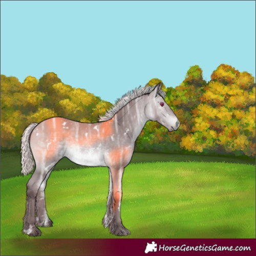 Horse Color:White Spotted Chocolate Silver Bay Chinchilla Ice