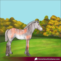 Horse Color:White Spotted Chocolate Silver Bay Chinchilla Ice