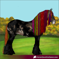 Horse Color:Void Painted White Spotted Brown Onyx Tobiano Appaloosa