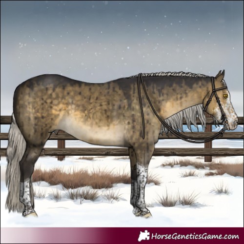 Horse Color:Silver Buckskin Dun Sabino Tobiano Brindle 