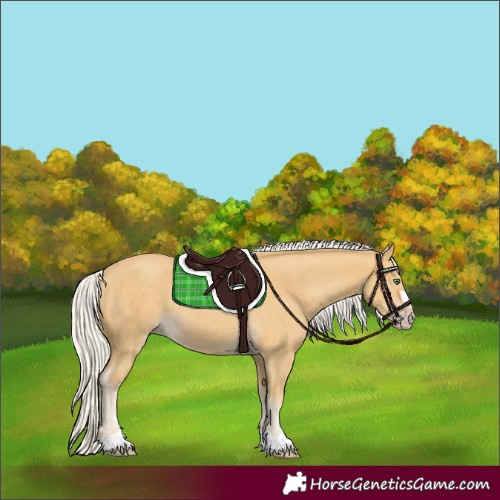 Horse Color:Silver Classic Cream Champagne