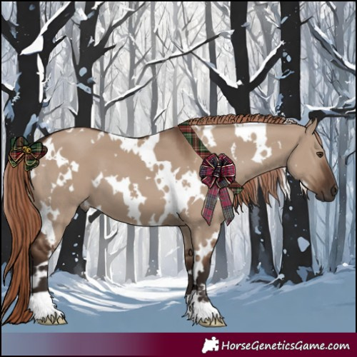 Horse Color:White Spotted Liver Red Dun 