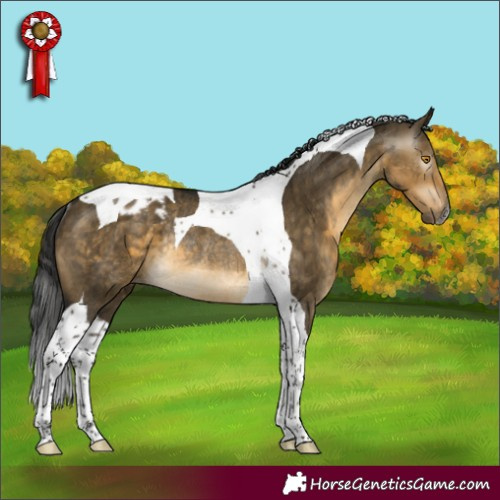 Horse Color:Gray Buckskin Dun Mushroom Tobiano Blanket Rabicano Brindle