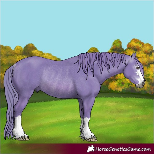 Horse Color:Gray Watercolor Chestnut Rabicano 